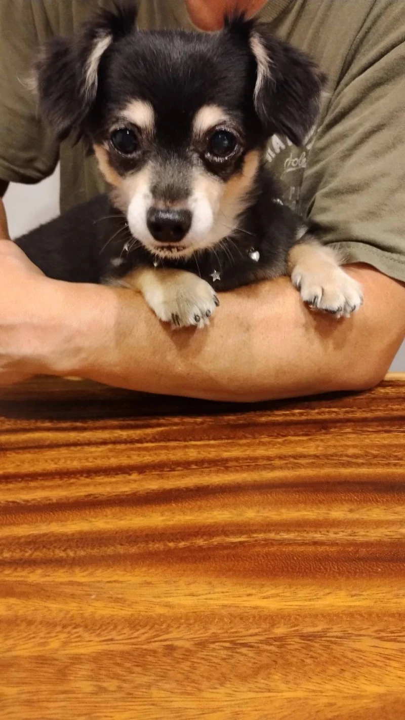 実際に食べてくれた子の写真