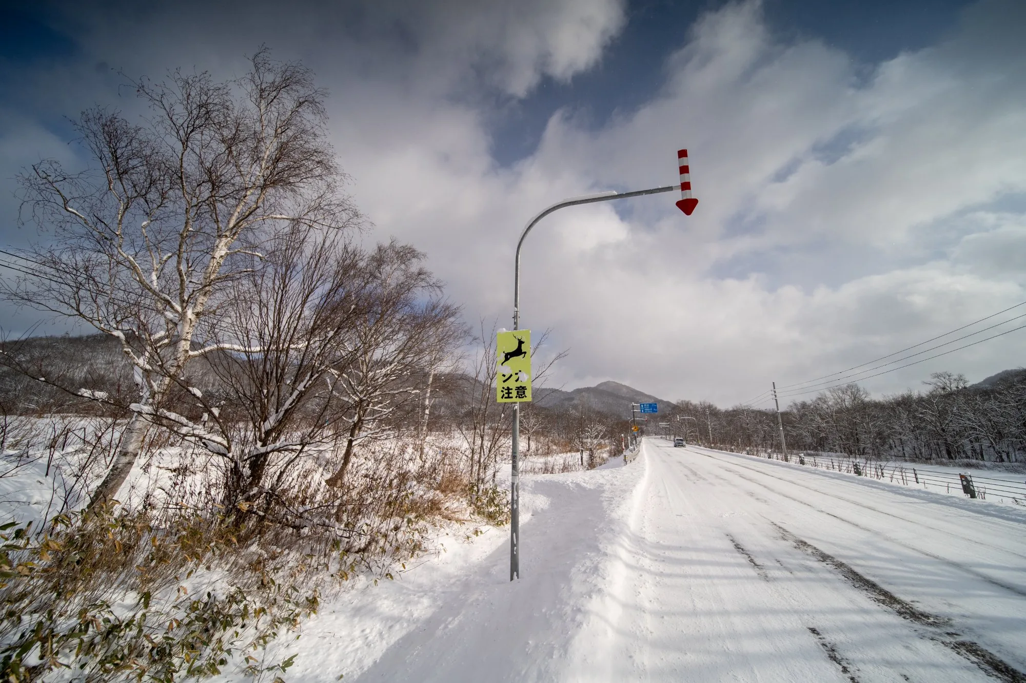 エゾシカ注意の道路標識